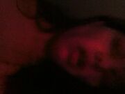 Noto Stallone Italiano con 26 cm