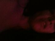 Noto Stallone Italiano con 26 cm