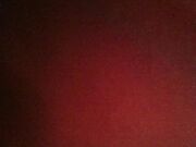 Noto Stallone Italiano con 26 cm