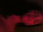 Noto Stallone Italiano con 26 cm