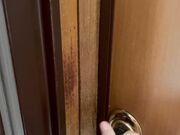 Instagram Alessialamaestra80