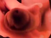 Gianluca Papo e Germana Baglioni (Donna Mistero)