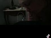 Noto stallone con 26cm cor