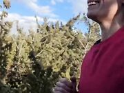 Scopata a pecora da guardone che mi sborra in bocca