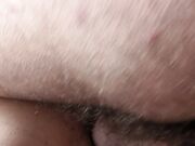 bella visuale di una pecorina lenta