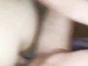 La scopo a pecora e le vengo dentro