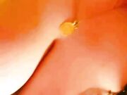 Moglie porcella tettona