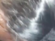 Blackprincess.89 mangia giovane figa