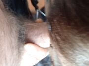 sono una succhiatrice di cazzi