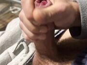 Bolo91 Telegram Bologna per single e sposate