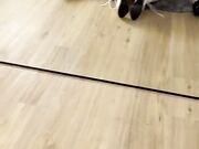 C4l1pp4r4 20 enne inculata da cazzone