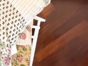 Puffa Spompina Lucas