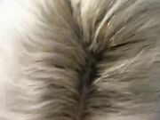 Milf gioca con la sborra