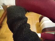 Personal trainer scopa Milf incinta