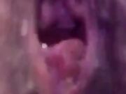 Viene per me che sono lontano