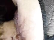 Scopata con lei collant aperti