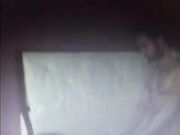 Stallone Noto con 26 cm