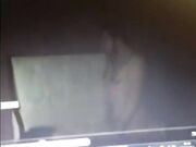 Stallone Noto con 26 cm