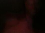 Stallone Noto con 26 cm