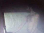 Stallone Noto con 26 cm