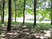 Cornuto filma la sua donna scopata da toro dotato