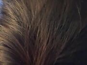 La troia svuotapalle