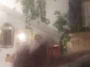 Noto stallone italiano sbarca su Onlyfans