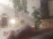 Noto stallone italiano sbarca su Onlyfans