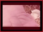 la risposta e bella e pronta pesce nel culo e palle in