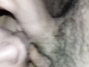 sborrata in faccia alla porca