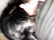 moglie scopata desidera un cazzo in bocca