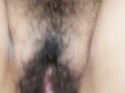Hot hairy pussy legs up for breeding