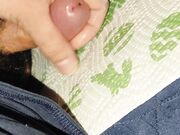 Che voglia che avevo di farmi na sega...