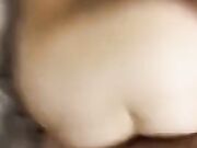 Torniamo dal referendum e la scopo a pecora