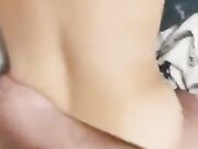 Torniamo dal referendum e la scopo a pecora