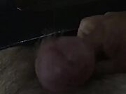 L'uccello più bello d'Italia