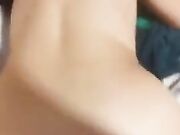 Torniamo dal referendum e la scopo a pecora