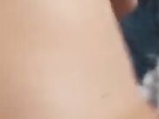 Torniamo dal referendum e la scopo a pecora