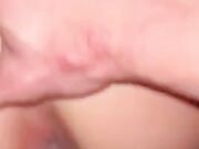 Inculata Decisa a Pecora