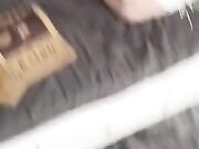 Calippotour x One Piece Completo