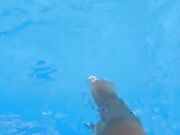 G1o1a Sm1th Footjob al Dildo Con Dialoghi in Italiano