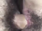 Ma dove l' hai messo? Nel culo!!