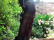 Valutate il culo della mia modella