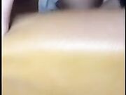 Tappa 2026 Cal1pp0 T0ur Con R0xy4na