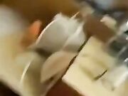 ho Rimorchiato la Barista e me la Scopo a Pecora