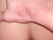 Inculata Decisa a Pecora