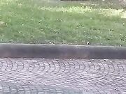 FOGGIA - ATTI OSCENI IN LUOGO PUBICO