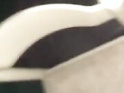 NO NO IN CULO NO FA MALE