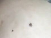 Ripartiamo dalle cose semplici: inculo mia moglie