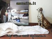 CAZZO ho squirtato sul pc ora è rotto - Live cam italia